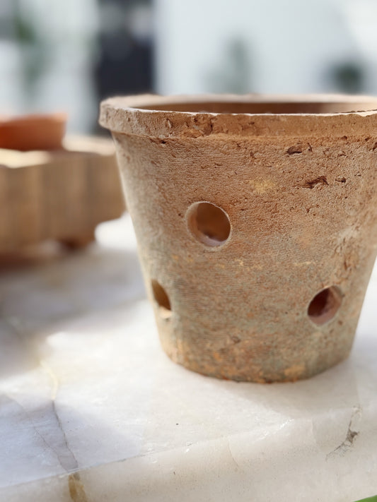 Rustic Terracotta Bulb Pot & Saucer - Antique Red