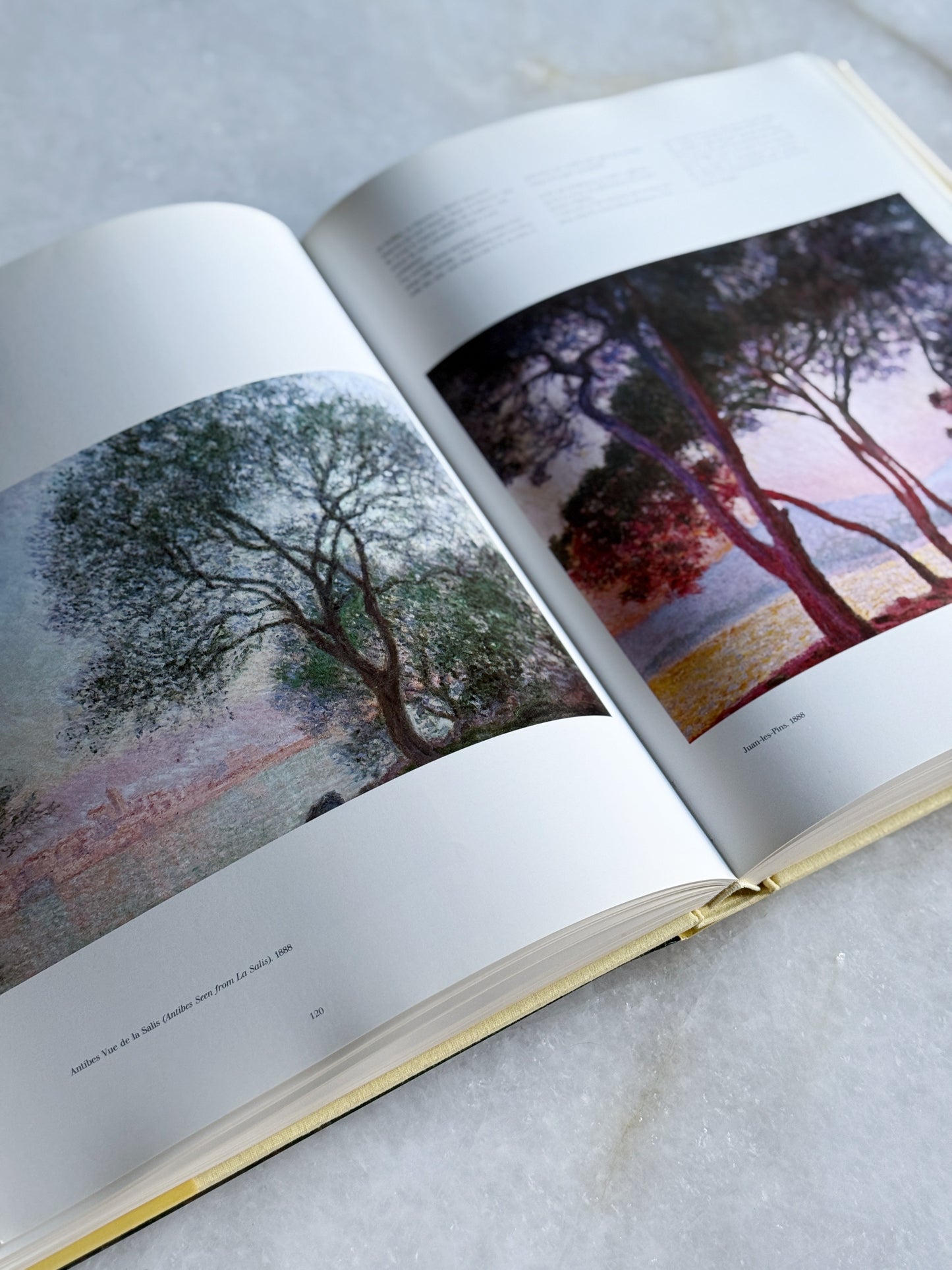 Vintage Art Coffee Table Book - Monet