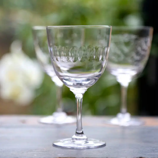 The Vintage List Lens Crystal wine glasses