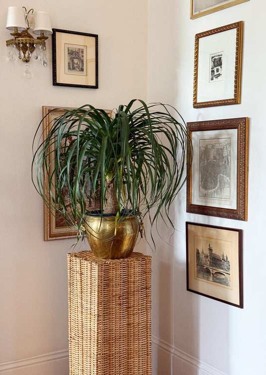 Handwoven Scalloped Wicker Pedestal – Honey Natural