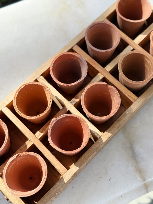 Wooden Caddy with Terracotta Pots