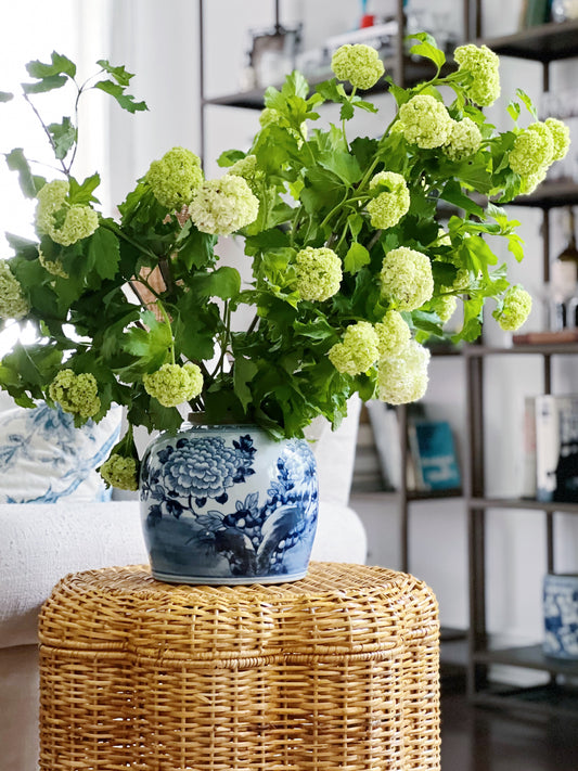 blue and white peony ginger jar on a wicker side table with viburnum branches