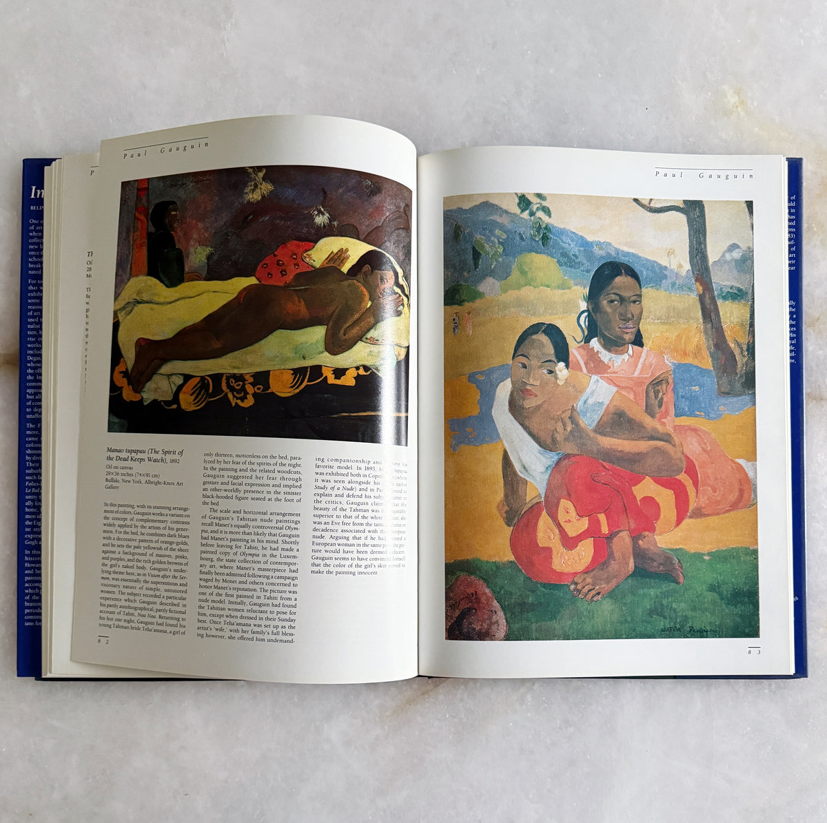 Vintage Impressionism Art Coffee Table Book 