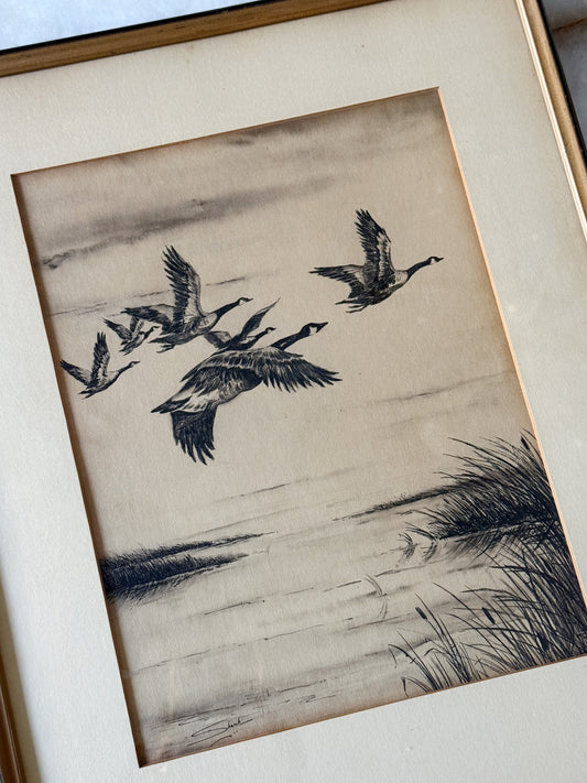 Vintage Framed Canada Geese Etching | Coastal Bird Wall Art