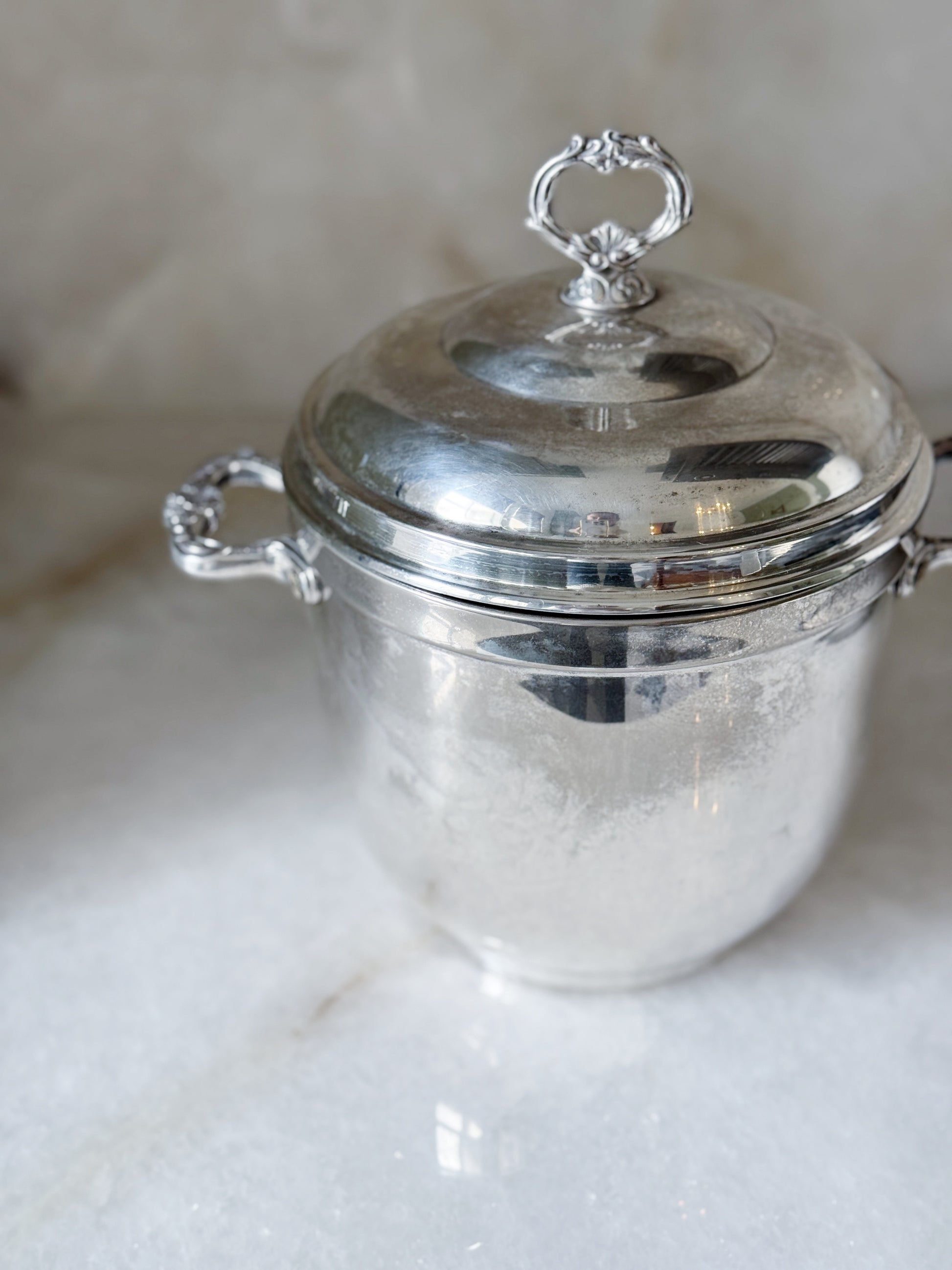 Vintage Silver Insulated Ice Bucket