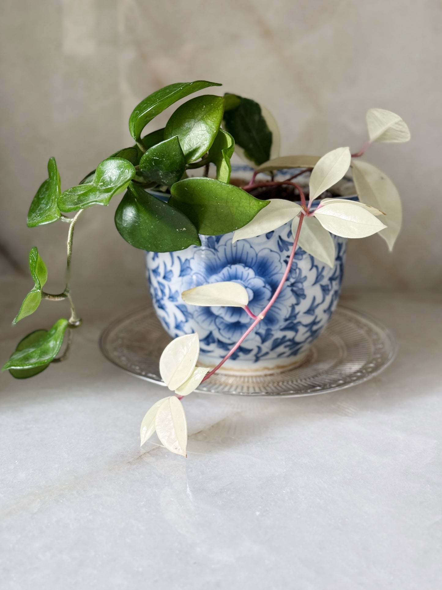 Vintage Silver Reticulated Round Tray with vintage blue and white plater and plant 
