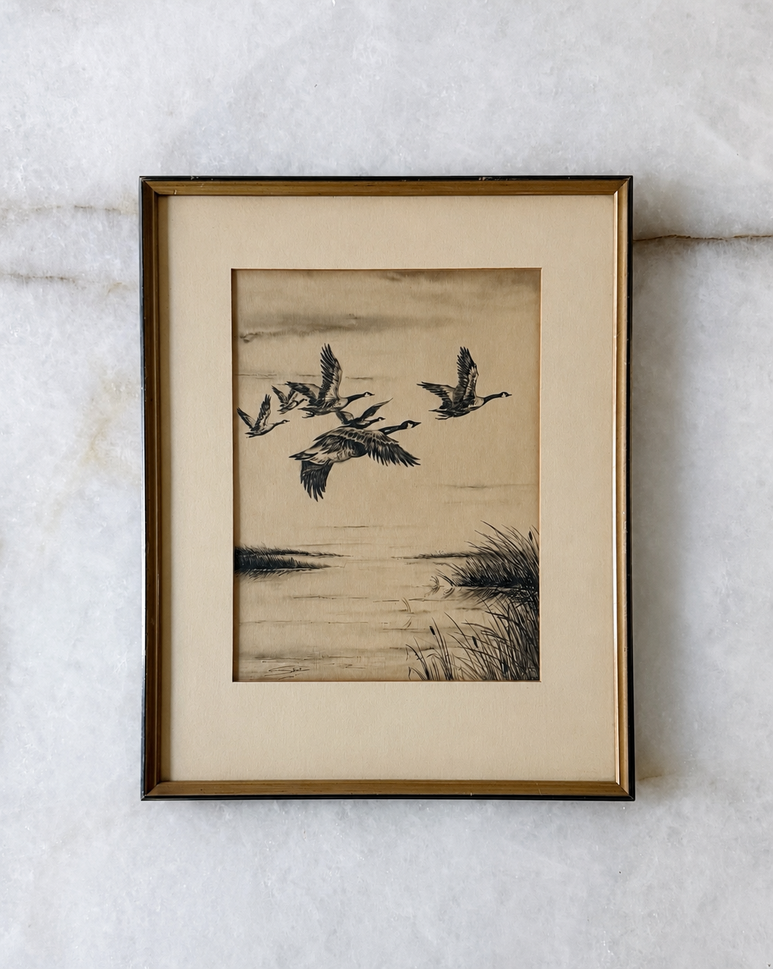 Vintage Framed Canada Geese Etching | Coastal Bird Wall Art