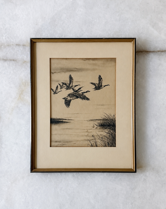 Vintage Framed Canada Geese Etching | Coastal Bird Wall Art