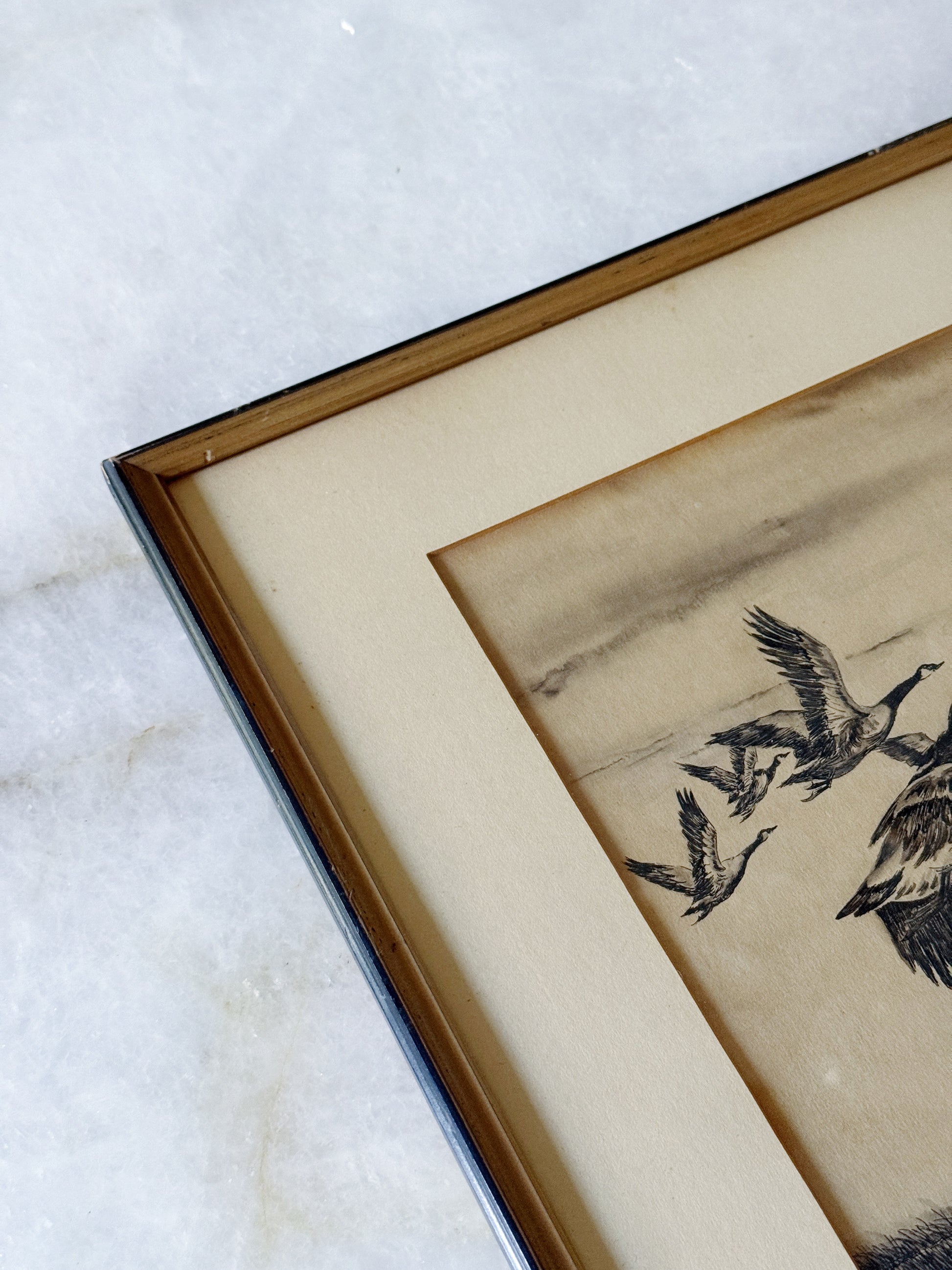Vintage Framed Canada Geese Etching | Coastal Bird Wall Art