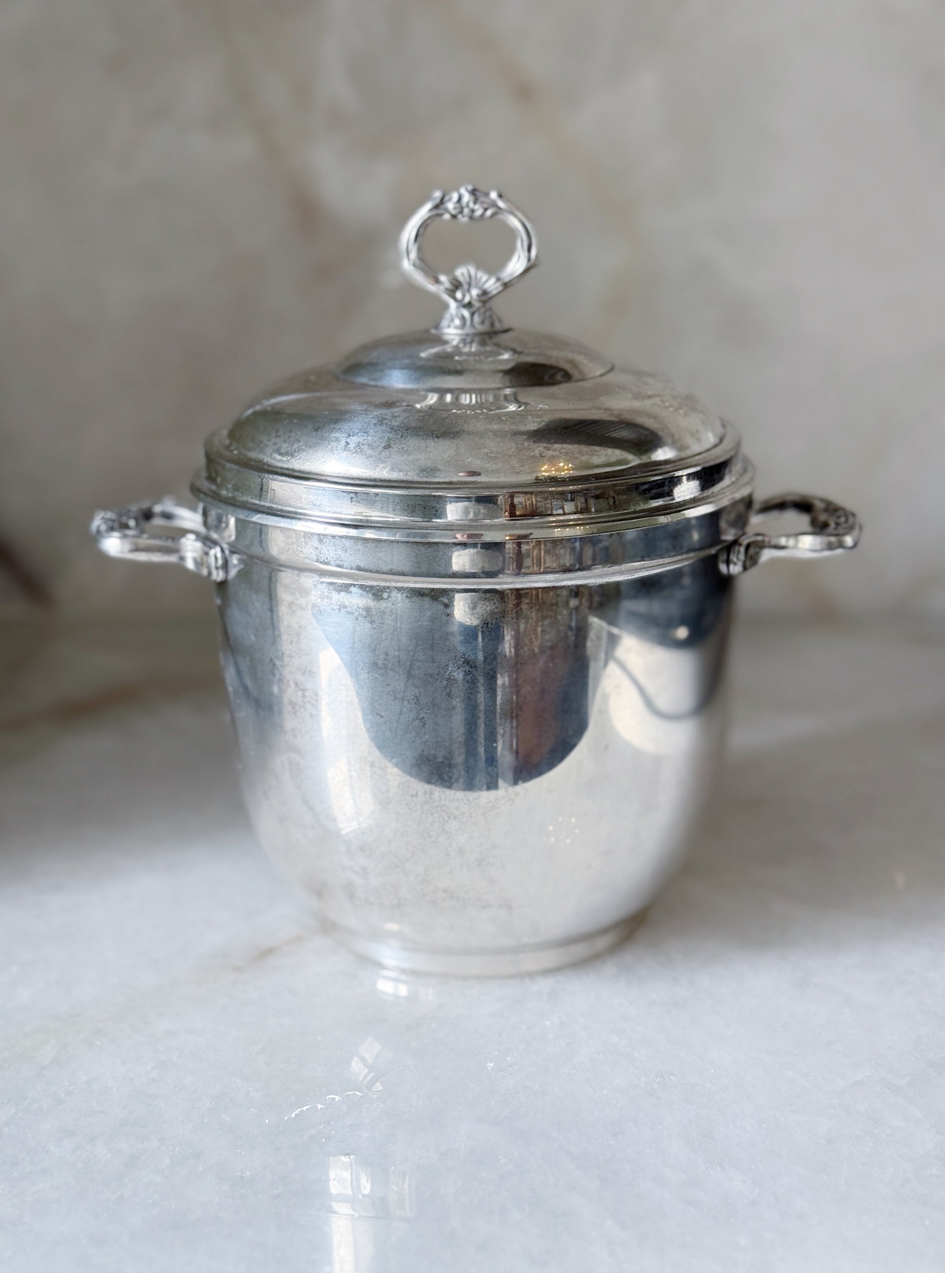 Vintage Silver Insulated Ice Bucket