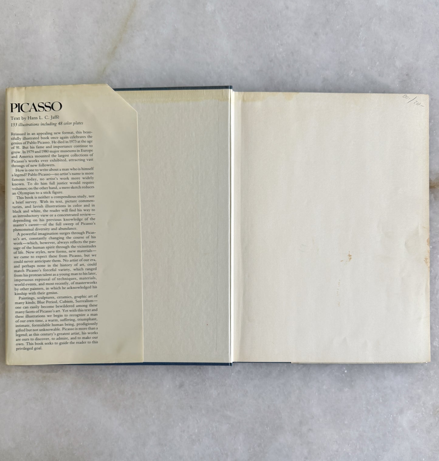 Vintage Picasso Art Book 