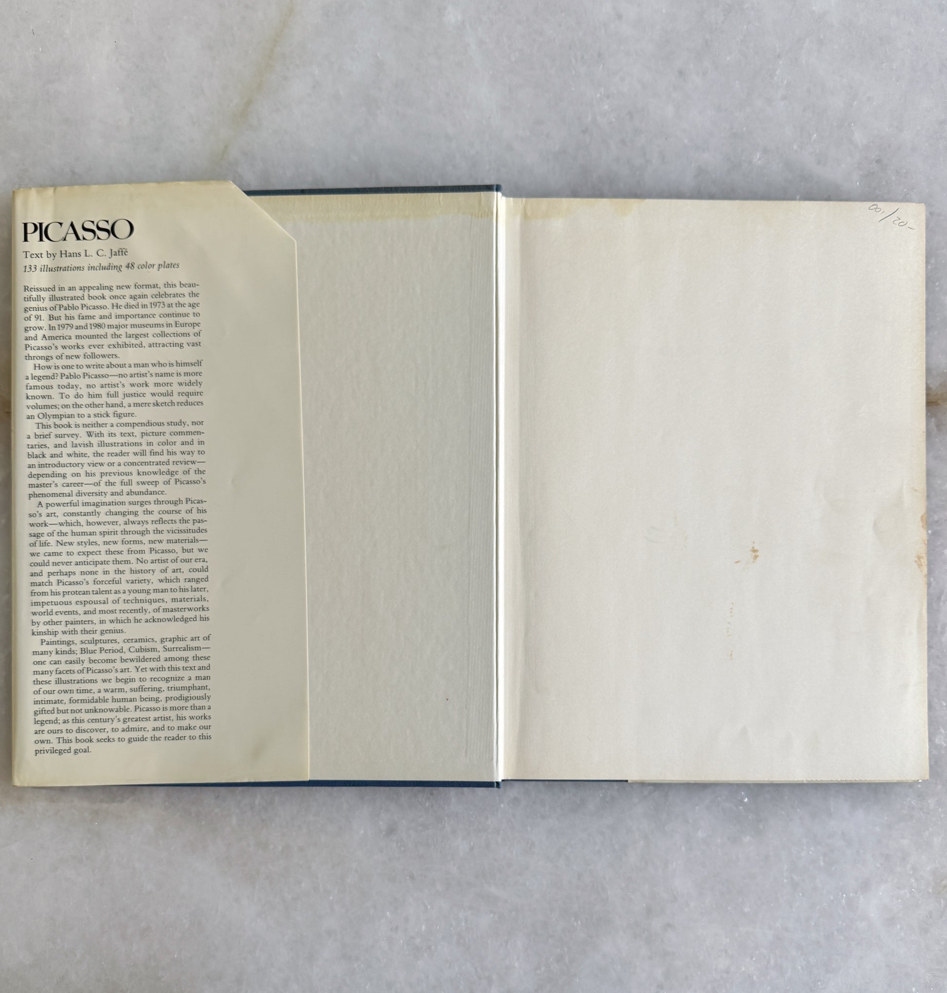 Vintage Picasso Art Book 