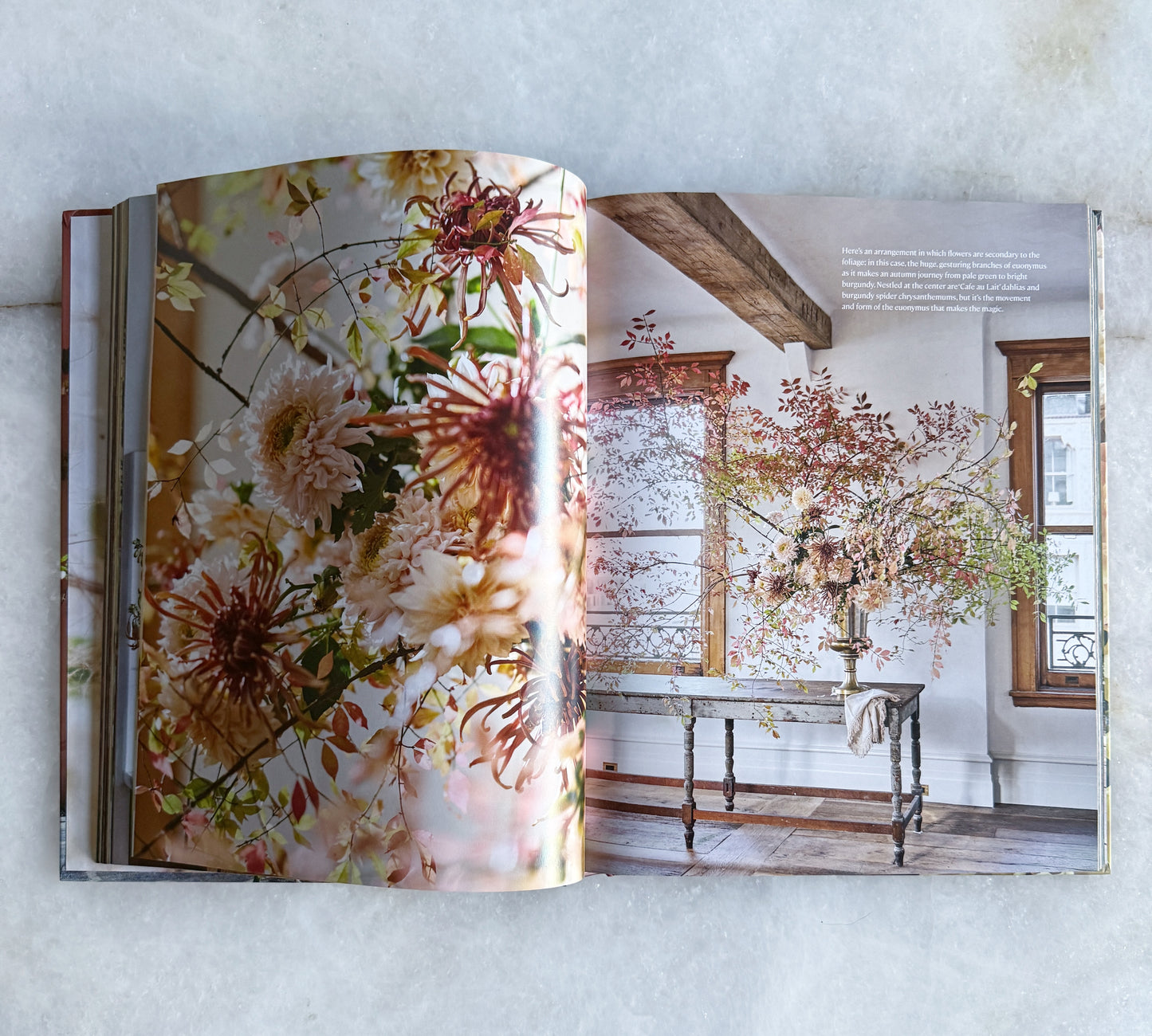 Home in Bloom by Ariella Chezar