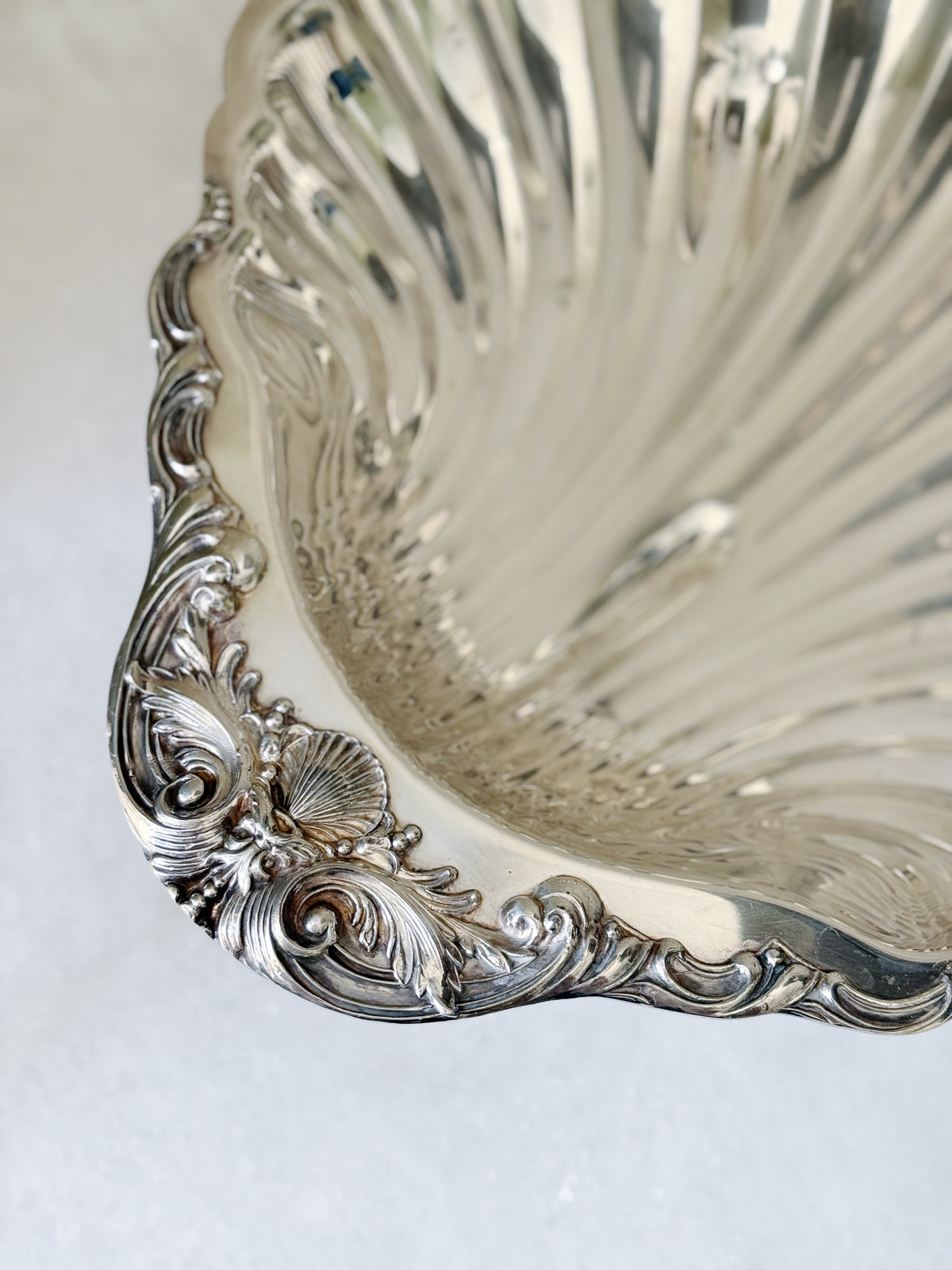 Large Vintage Shell Decorative Tray | House of Modern Vintage | NOLA ...