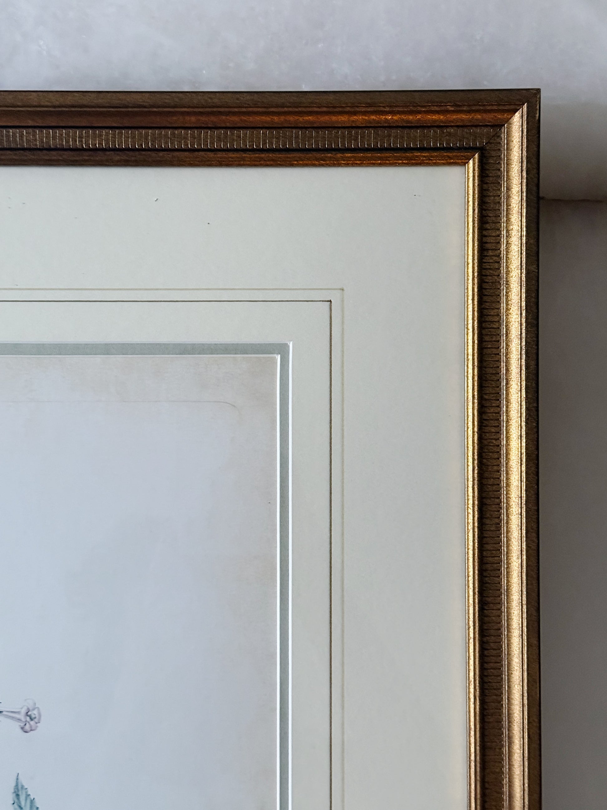 Delicate Bird Framed Giclée Print