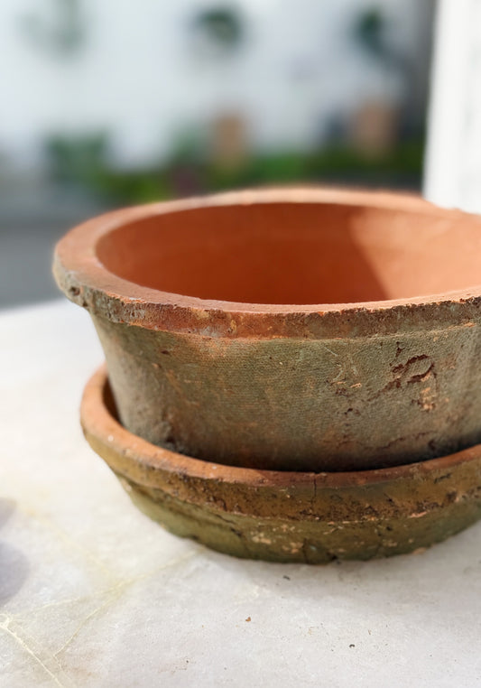 Rustic Terracotta Bulb Pot & Saucer - Antique Red