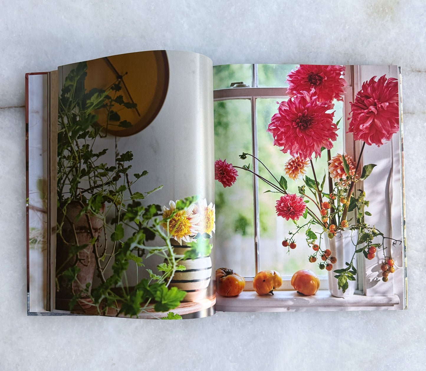 Home in Bloom by Ariella Chezar