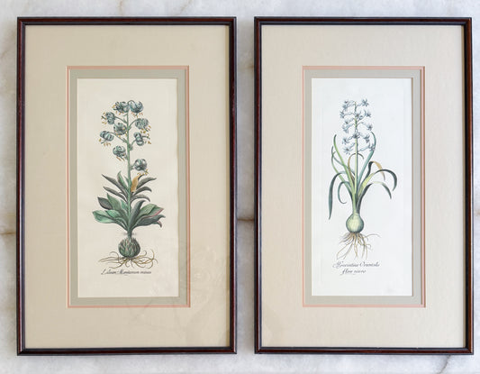 Vintage framed art botantical watercolor print 