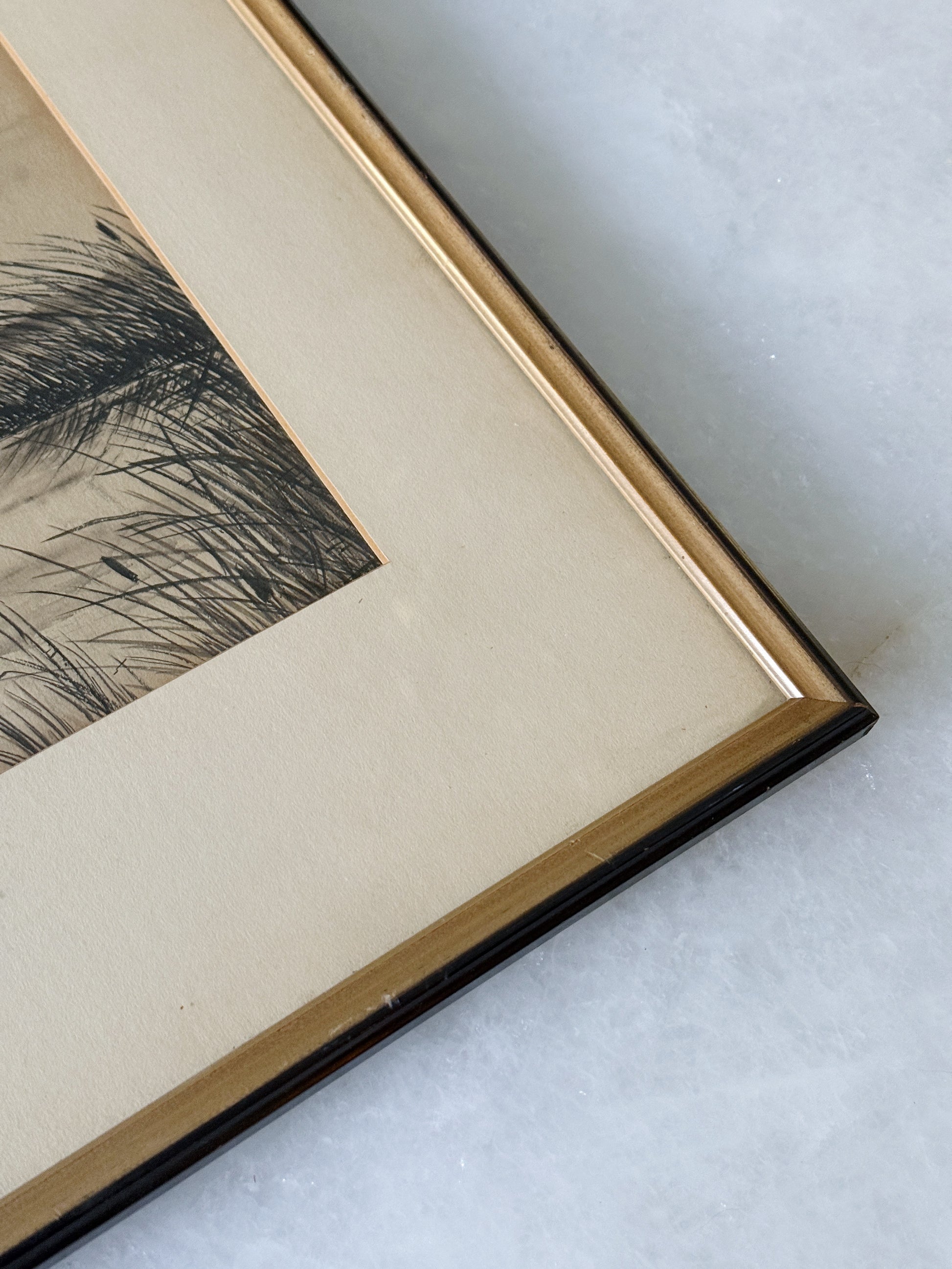 Vintage Framed Canada Geese Etching | Coastal Bird Wall Art