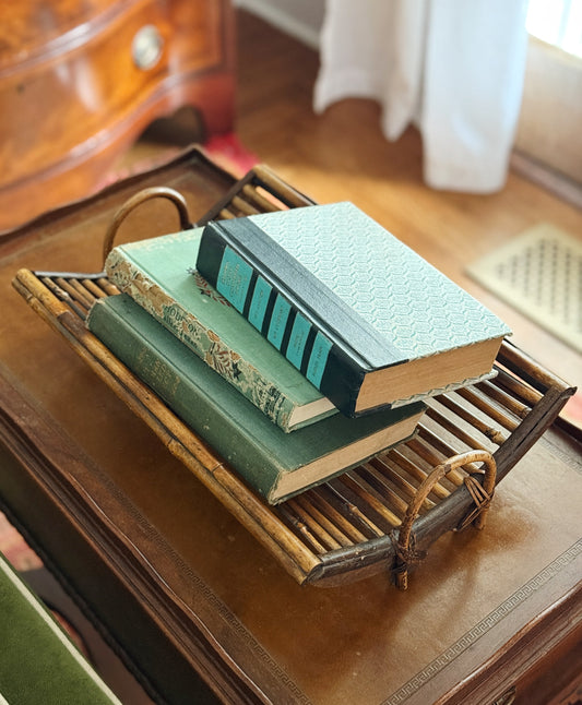Vintage Hollywood Regency Tortoise Bamboo Tray
