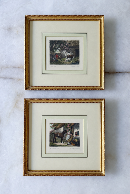 Vintage English Equestrian Prints in Gilt Frames — Pair